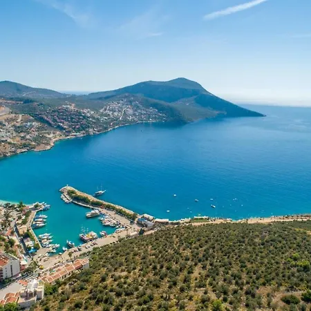 Mango * Kalkan